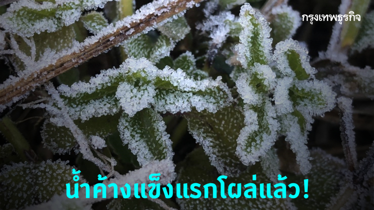 'เชียงใหม่' รับหนาวยะเยือก น้ำค้างแข็งแรกโผล่แล้ว