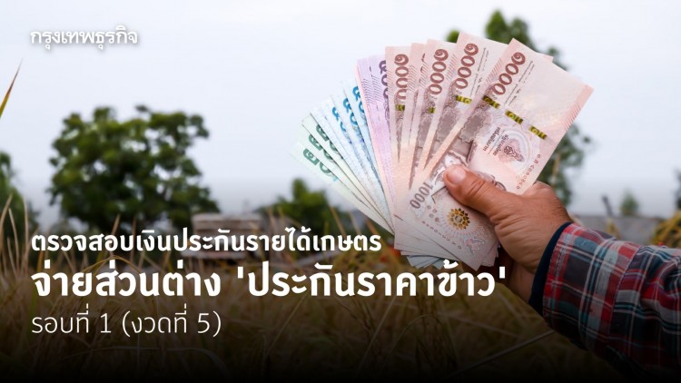ตรวจสอบเงินประกันรายได้เกษตร จ่ายส่วนต่าง 'ประกันราคาข้าว' รอบที่ 1 (งวดที่ 5)