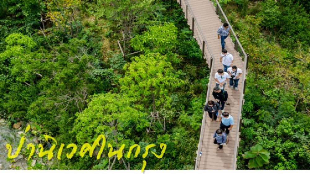 เดินชิลๆ ไม่เหนื่อย ไม่ไกล ที่'ป่าในกรุง' สุขาภิบาล 2 