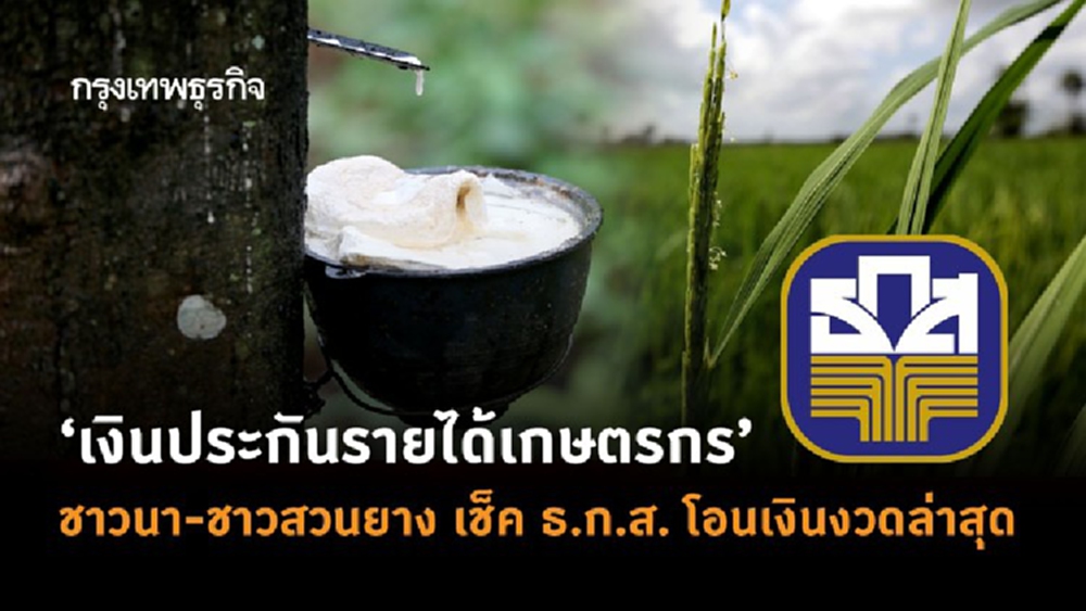 'เงินประกันรายได้เกษตรกร' ชาวนา-ชาวสวนยาง เช็ค ธ.ก.ส. โอนเงินงวดล่าสุด