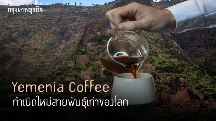 Yemenia Coffee… กำเนิดใหม่สายพันธุ์เก่าของโลก