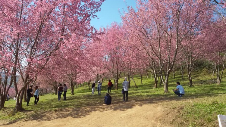 'ภูลมโล' หนาวจัด-เกิดแม่คะนิ้งวันที่ 2