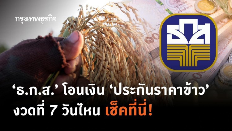 'ธ.ก.ส.' โอนเงิน 'ประกันราคาข้าว' งวดที่ 7 วันไหน เช็คที่นี่! 