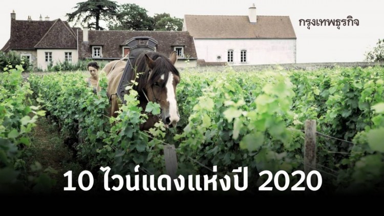 10 ไวน์แดง แห่งปี 2020