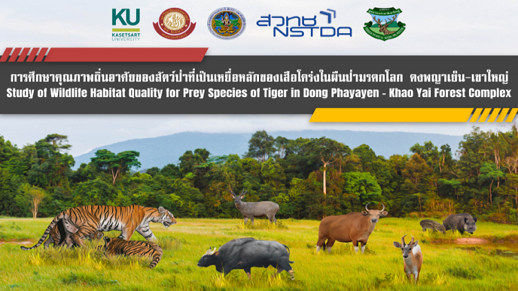 ม.เกษตรฯ สำรวจป่ามรดกโลกพบ กระทิง-กวาง-หมูป่า เพิ่มจำนวน