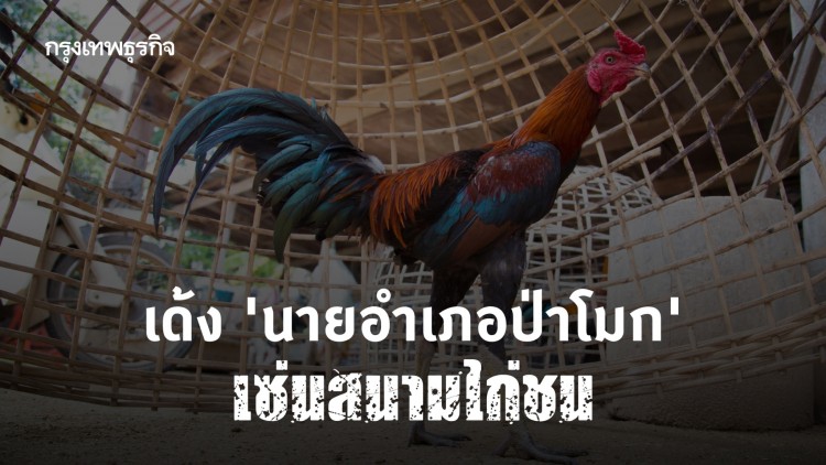 มท. สั่งเด้ง 'นายอำเภอป่าโมก' เซ่นสนามไก่ชน ลามโควิด