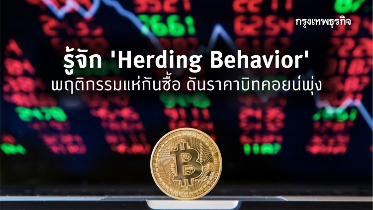 ลงทุน 'บิทคอยน์' ต้องรู้จัก! 'Herding Behavior' พฤติกรรมแห่กันซื้อ ดันราคาพุ่ง