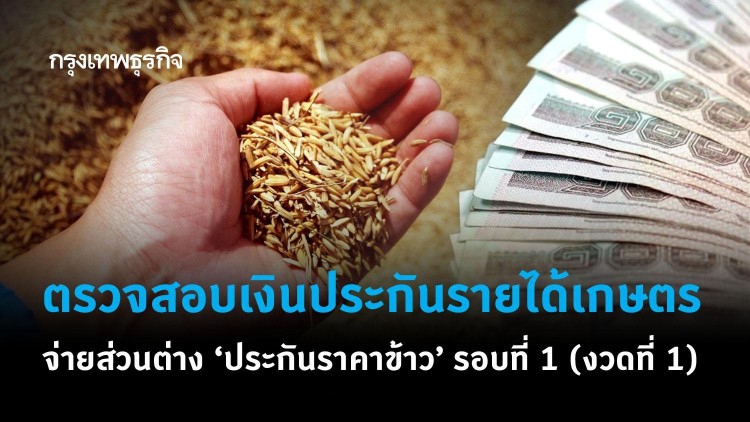 ตรวจสอบเงินประกันรายได้เกษตร จ่ายส่วนต่าง 'ประกันราคาข้าว' รอบที่ 1 (งวดที่ 11)