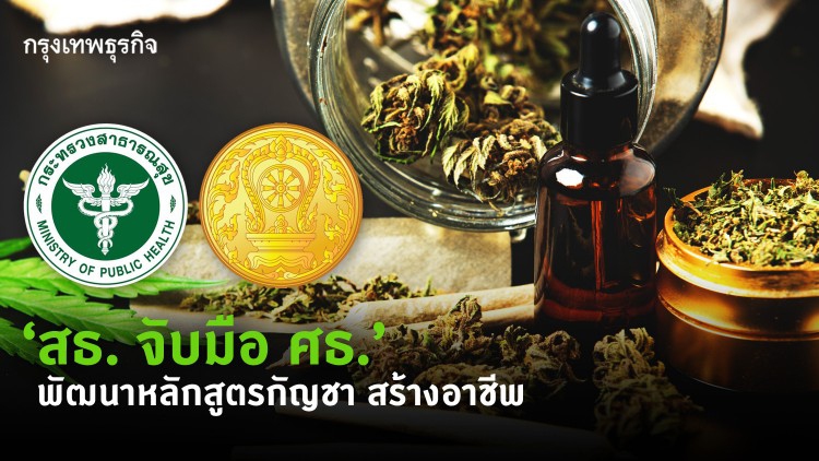 พัฒนาหลักสูตรกัญชา สร้างห่วงโซ่ธุรกิจ