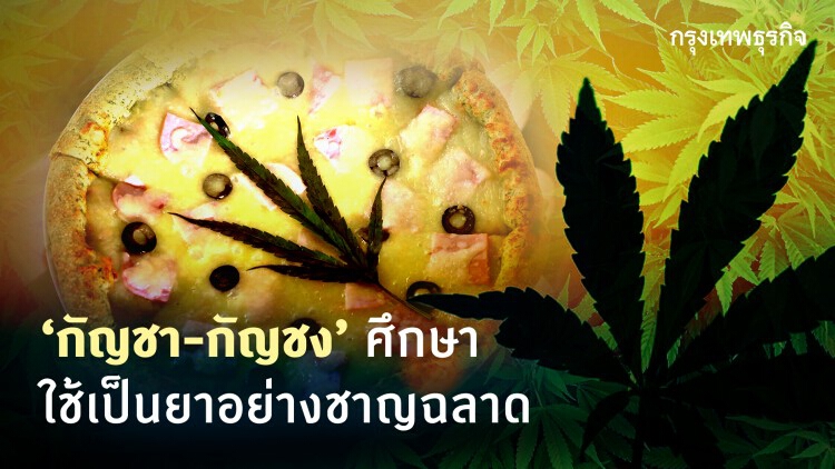 เปิดหลักสูตร"กัญชา"สร้างอาชีพ สร้างรายได้