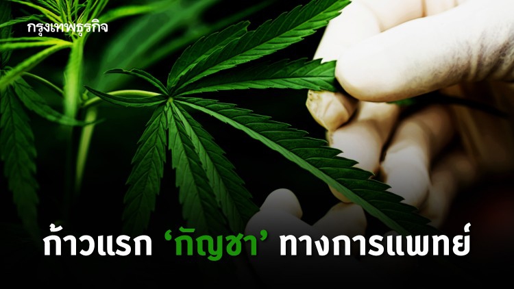 ก้าวแรก'กัญชา'ทางการแพทย์ : ต้องเร่งศึกษาทางวิชาการ หาหลักฐานยืนยันประสิทธิผล
