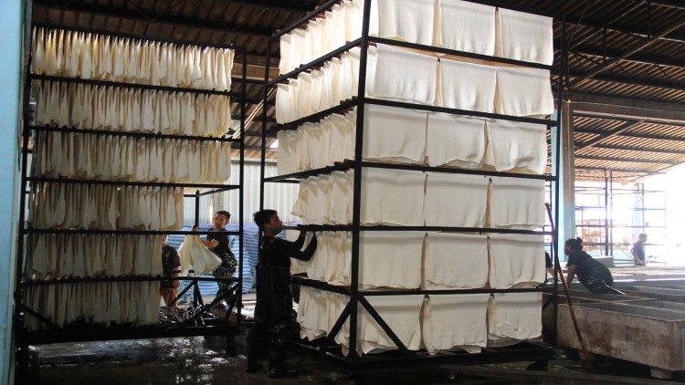 กยท. ปล่อยมาตรการช็อคตลาด! ดึงน้ำยางหายจากระบบกว่า 2 แสนตัน