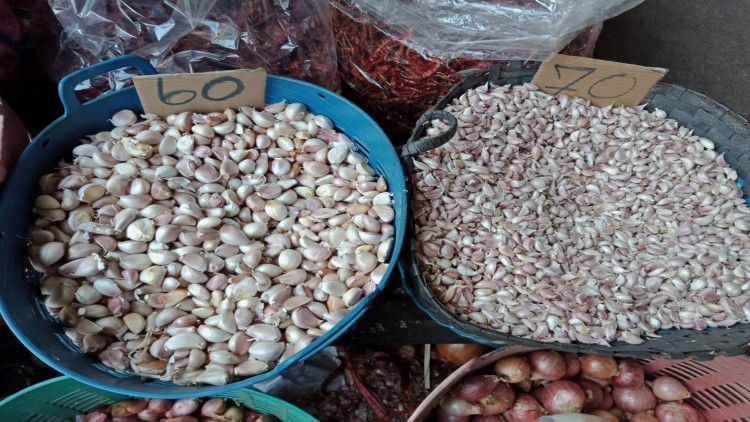 พาณิชย์ นำเกษตรกร-ผู้ค้าทำสัญญาซื้อขายกระเทียมล่วงหน้ากิโลละ 13.50 บาท เป็นราคาชี้นำตลาด แก้ปัญหาราคาตก พร้อมคุมเข้มลักลอบนำเข้า