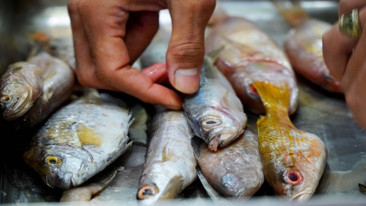 อสป.ไม่พบผู้ติดเชื้อโควิด-19ในพื้นที่สะพานปลากรุงเทพ  