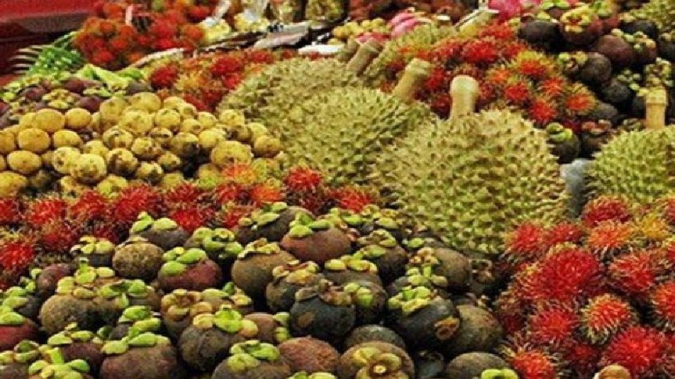   อัดงบ400 ล้านรับมือผลไม้ล้นราคาตก 