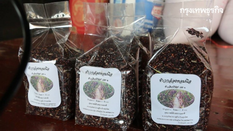 รายงานราคาข้าวขายส่งตลาดกรุงเทพฯ (5 ก.พ.64)