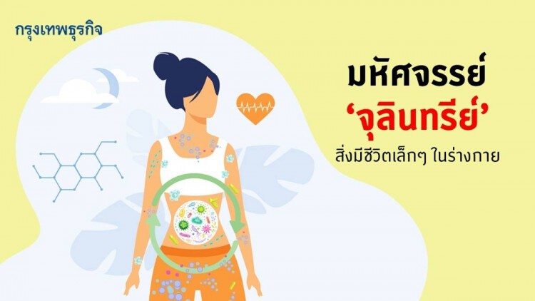 'จุลินทรีย์' สิ่งมหัศจรรย์ในร่างกายมนุษย์