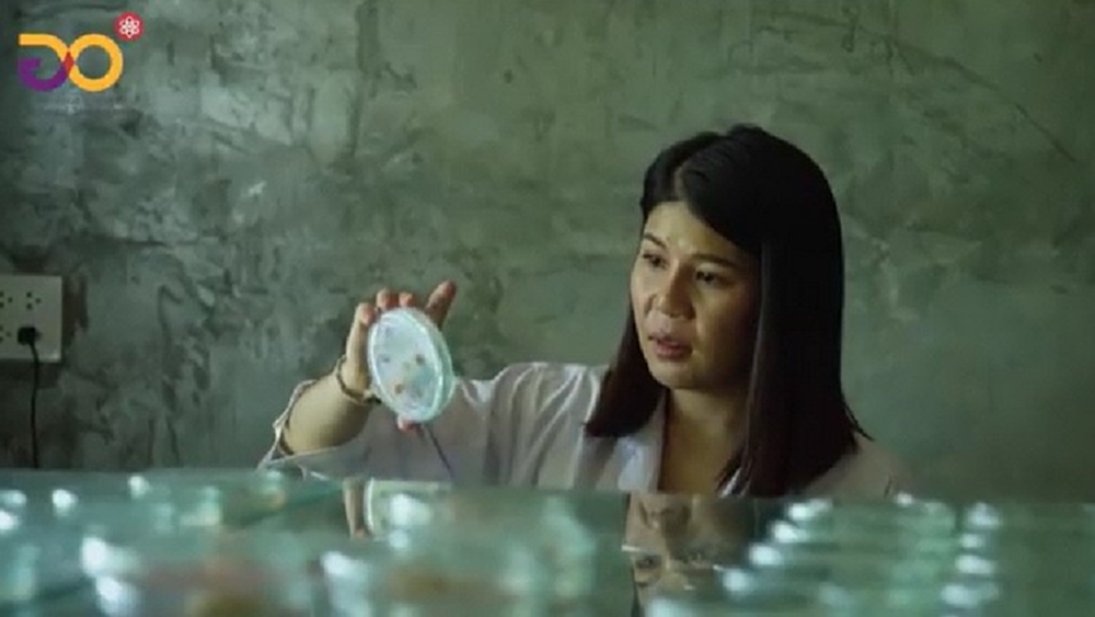 นักวิจัยไทย ยกระดับอุตสาหกรรมข้าวไทย จากงานวิจัยสู่ผลิตภัณฑ์จริง