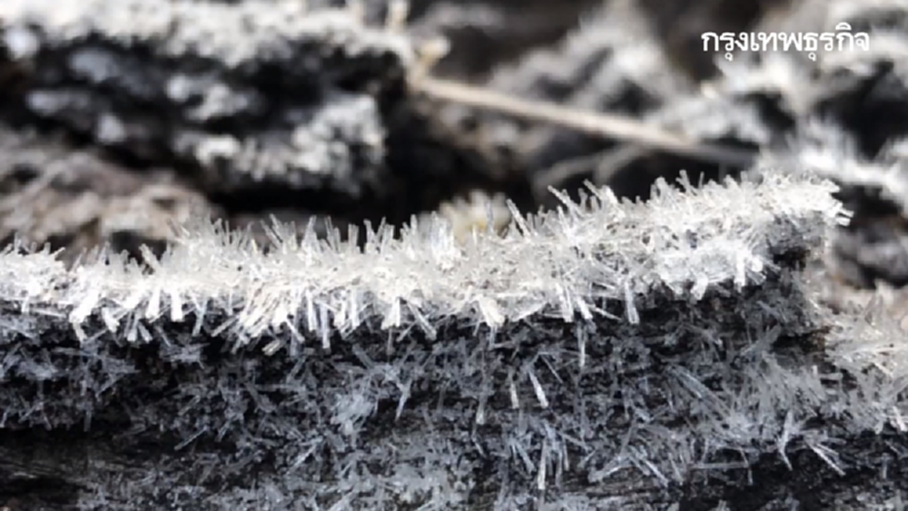 หนาวเกือบติดลบ! ยอดอินทนนท์ 0 องศาฯ เหมยขาบขาวโพลนต้อนรับตรุษจีน