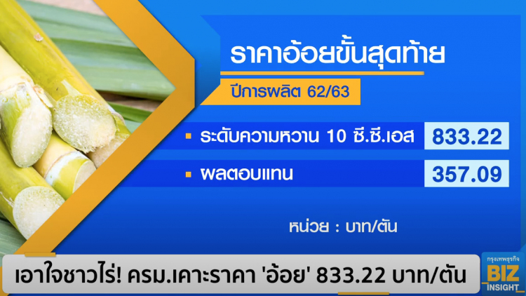 เอาใจชาวไร่! ครมเคาะราคา ‘อ้อย’ 833.22 บาท/ตัน