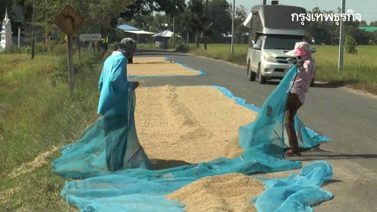 รายงานราคาข้าวขายส่งตลาดกรุงเทพฯ (16 ก.พ.64)