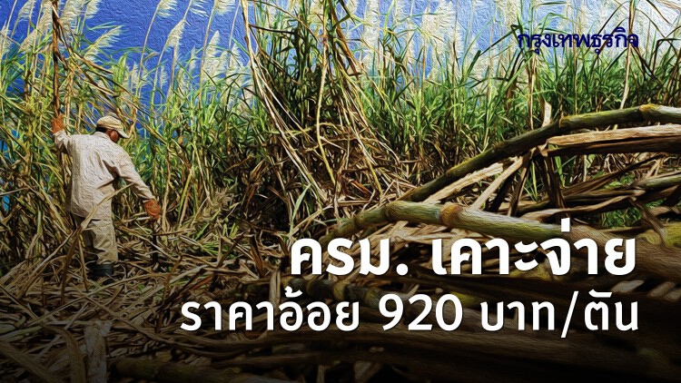 'ชาวไร่อ้อย' เฮ ครม. เคาะจ่ายราคาอ้อย 920 บาทต่อตัน