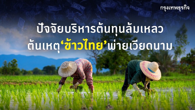 ปัจจัยบริหารต้นทุนล้มเหลว  ต้นเหตุข้าวไทยพ่ายเวียดนาม