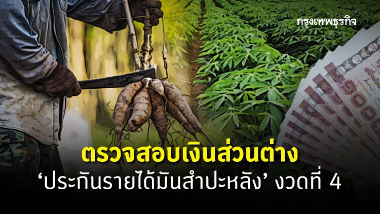 ตรวจสอบเงินส่วนต่าง ‘ประกันรายได้มันสำปะหลัง’ งวดที่ 4