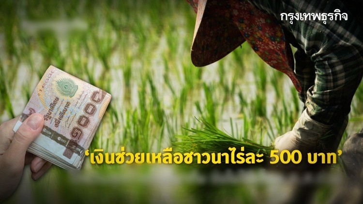 'เงินช่วยเหลือชาวนาไร่ละ 500' มาแล้ว ธ.ก.ส. เริ่มโอนให้ตั้งแต่วันนี้