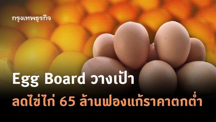 Egg Board วางเป้าลดไข่ไก่ 65 ล้านฟองแก้ราคาตกต่ำ   