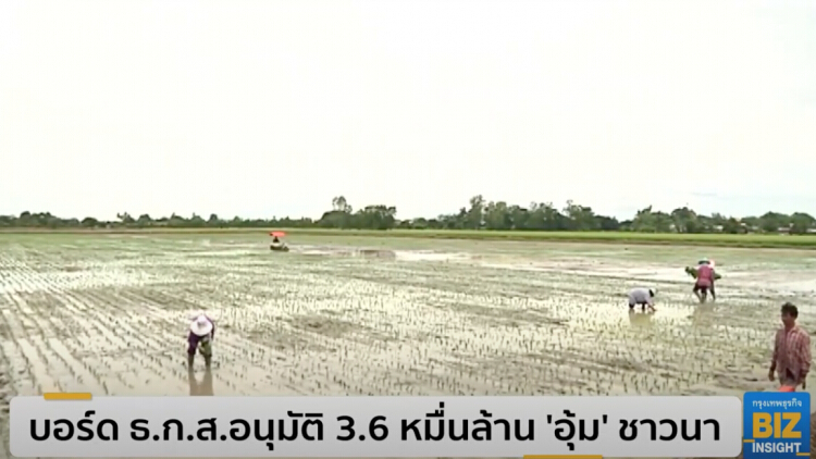 บอร์ด ธ.ก.ส.อนุมัติ 3.6 หมื่นล้าน 'อุ้ม' ชาวนา