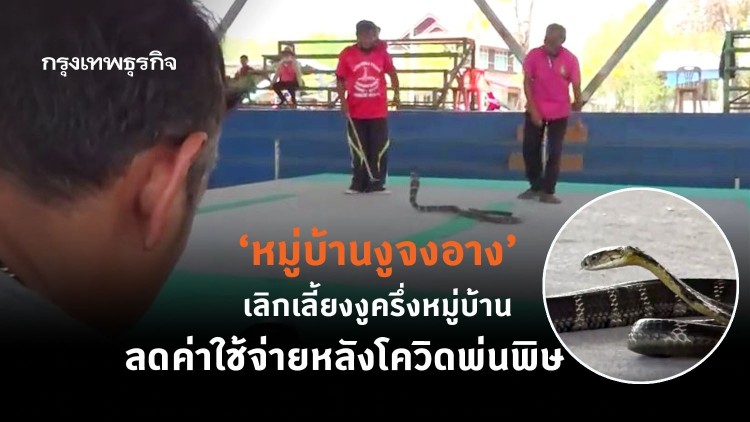 ‘หมู่บ้านงูจงอาง’ เลิกเลี้ยงงูครึ่งหมู่บ้าน ลดค่าใช้จ่ายหลังโควิดพ่นพิษ