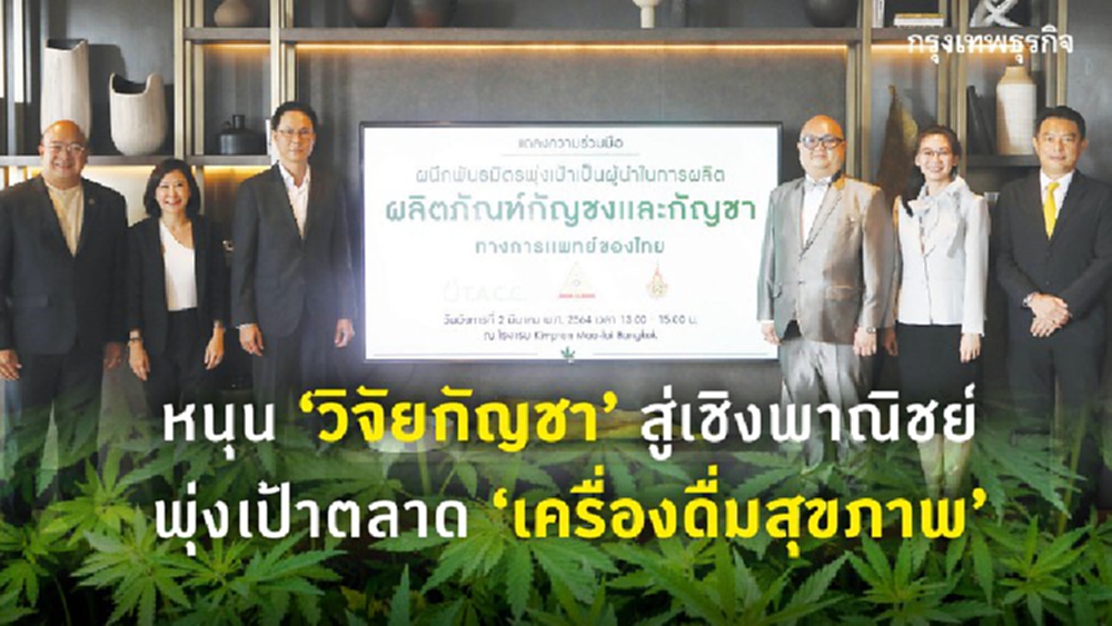 นักธุรกิจร่วมทุน "พัฒนากัญชาเชิงพาณิชย์"