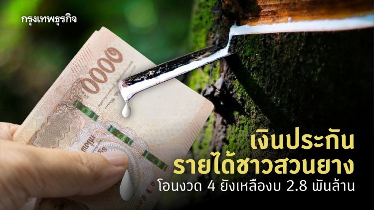 'เงินประกันรายได้เกษตรกร' ชาวสวนยาง เช็ค ธ.ก.ส. โอนงวด 4 ยังเหลืองบ 2.8 พันล้าน