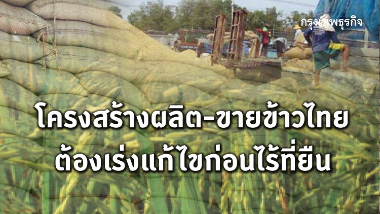 วงการข้าว แนะกำหนดนโยบายแห่งชาติทางรอดข้าวและชาวนา