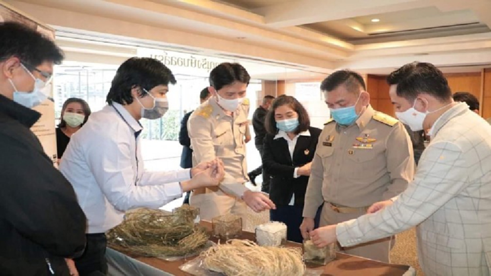 อุตสาหกรรม ผลักดันแปรรูปจากกัญชงเป็นสินค้าสู่ตลาดโลก