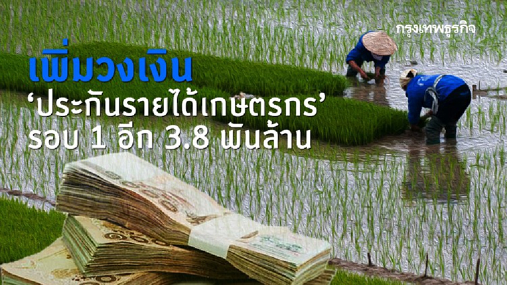 ครม.อนุมัติเพิ่มวงเงิน 'ประกันรายได้เกษตรกร' 3.8 พันล้าน 
