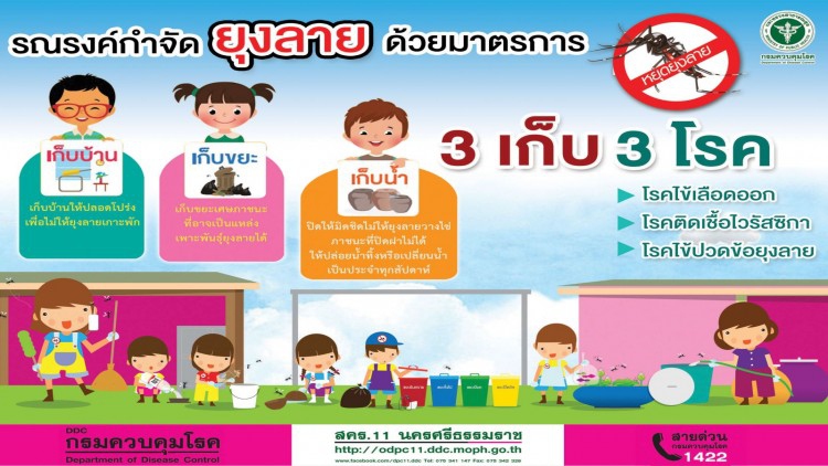 แพทย์เตือนปชช. ระวัง 'ไข้เลือดออก' ช่วงฝนตก