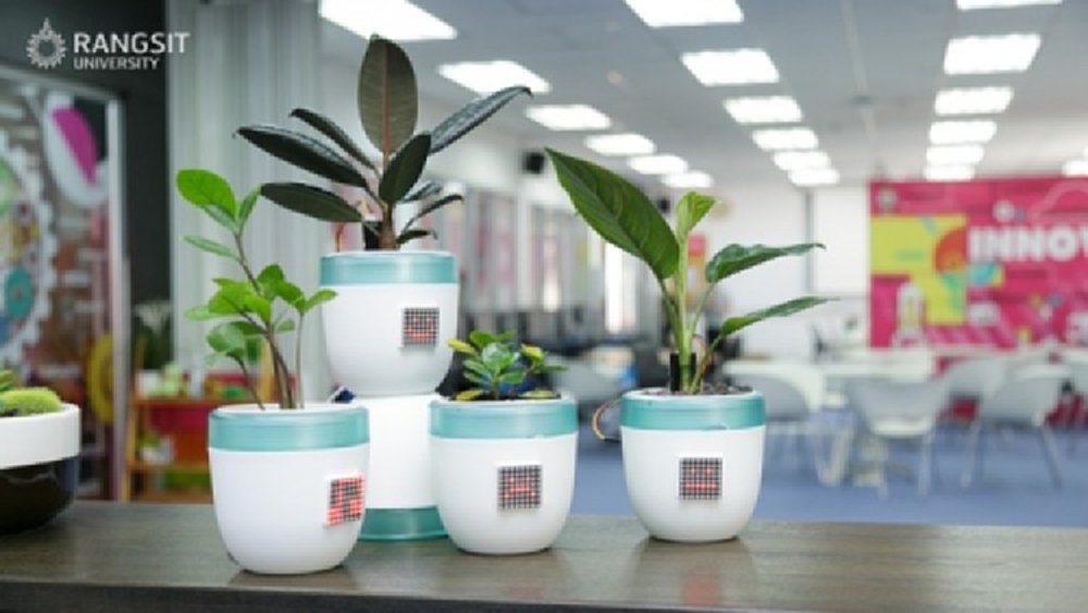 'Green Dewy' กระถางต้นไม้อัจฉริยะ สู่ธุรกิจสตาร์ทอัพ!