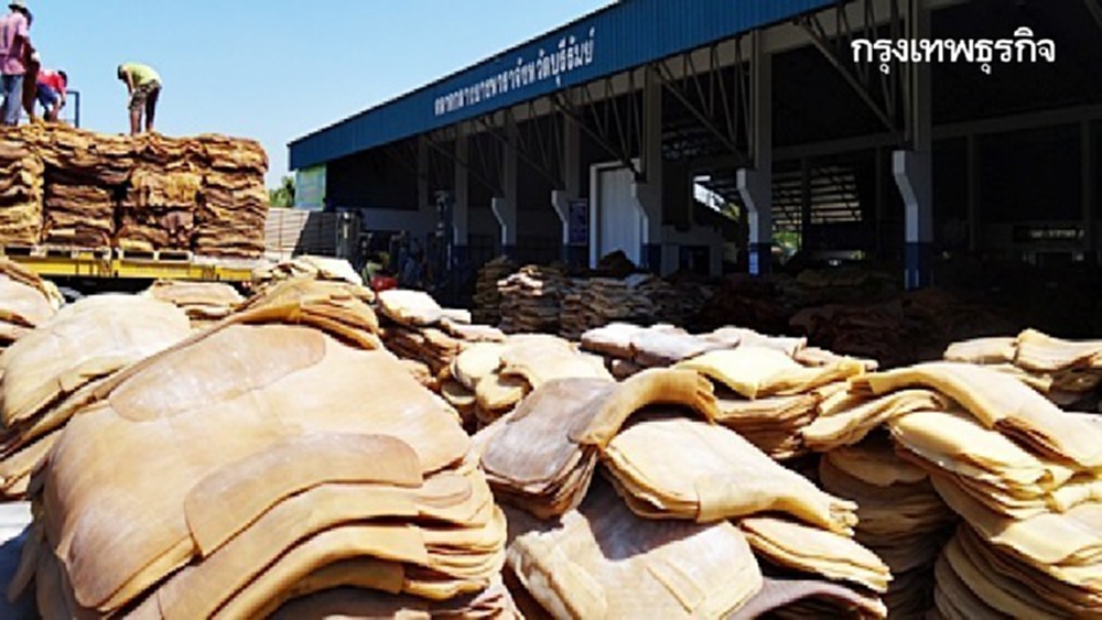 STA ตั้งงบลงทุน 900 ล้านบาท ขยายโรงงานน้ำยางข้น-ธุรกิจกัญชง