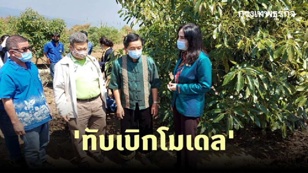 'มนัญญา' หารือ พม.สานต่อ 'ทับเบิกโมเดล' ใช้วิชาการเกษตรปั้นชุมชนยั่งยืนลดทำลายป่า