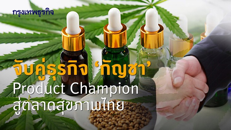 ค้นหาคำตอบ!! จับคู่ธุรกิจ 'กัญชา' ต้องทำอย่างไร?