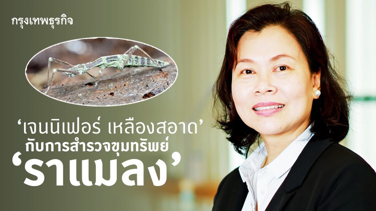 'เจนนิเฟอร์ เหลืองสอาด' กับการสำรวจ‘ราแมลง’ ที่คนไม่รู้ว่าสรรพคุณมากหลาย