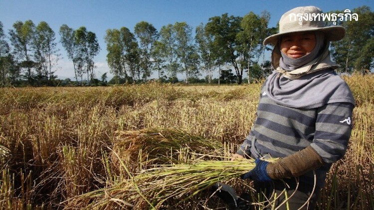 รายงานราคาข้าวขายส่งตลาดกรุงเทพฯ (16 มี.ค.64)