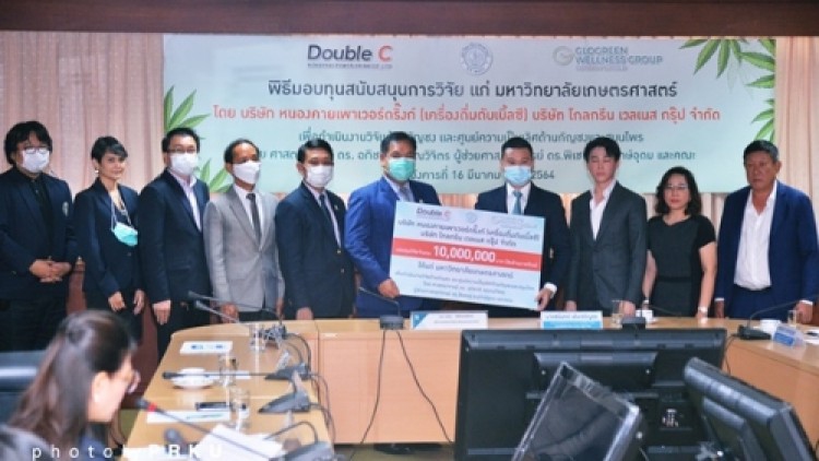 ม.เกษตร รับทุนเอกชน หนุนวิจัย 10 ล้านบาท 'ปรับปรุงพันธุ์กัญชง'