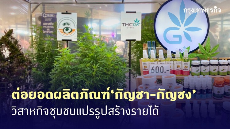 รู้-เข้าใจ 3 ข้อนี้ !! ทำผลิตภัณฑ์ "กัญชา" ได้ง่ายๆ