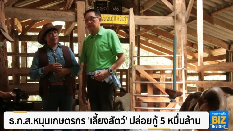 ธ.ก.ส.หนุนเกษตรกร ’เลี้ยงสัตว์’ ปล่อยกู้ 5 หมื่นล้าน