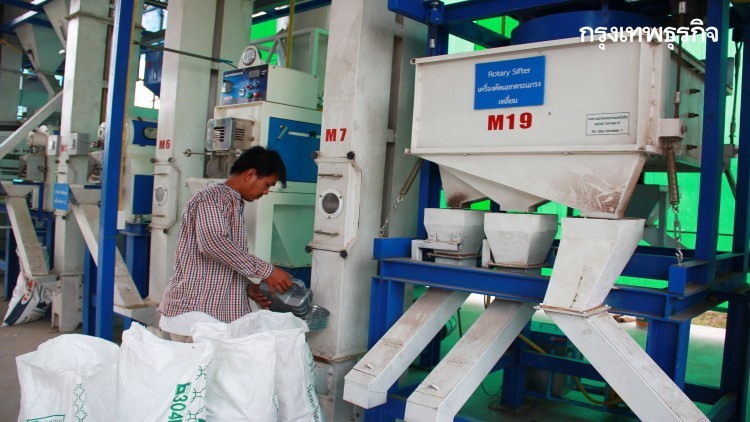 ข้าวหอมมะลิ 100% ชั้น 2 (63/64) 2250-2450 บ./100ก.ก.,ข้าวหอมปทุมธานี (ยิงสี) 2000-2080 บ./100ก.ก.