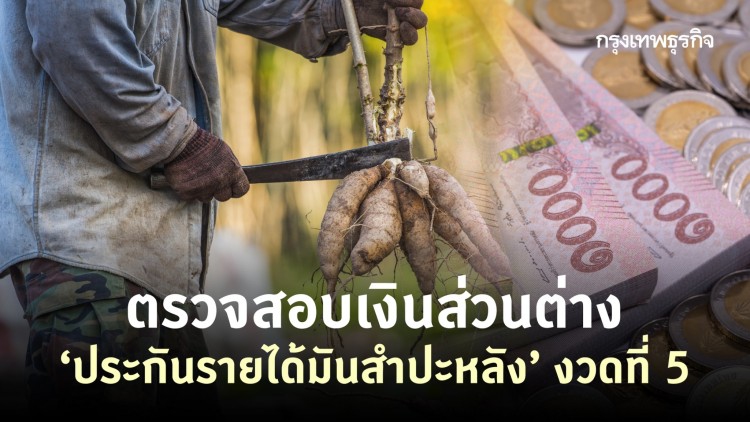 ตรวจสอบเงินส่วนต่าง ‘ประกันรายได้มันสำปะหลัง’ งวดที่ 5