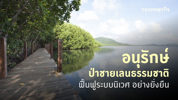 อนุรักษ์ป่าชายเลนธรรมชาติ ฟื้นฟูระบบนิเวศ อย่างยั่งยืน